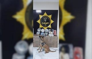 Muz kolileri içerisindeki 51 kilo esrarı Narkotik...