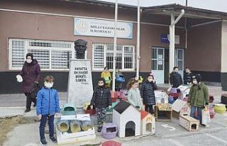 Öğrenciler sokak kedileri için 60 yuva yaptı