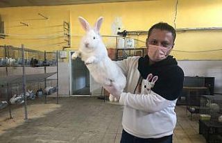 Öğretmenliği bırakıp tavşan çiftliği kurdu