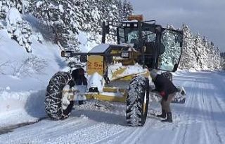 Onlar işini severek yapıyor