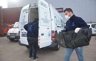 Ordu’da başı gövdesinden ayrılmış 2 günlük...