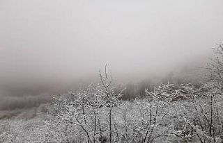 Ordu’da beklenen kar etkili oldu