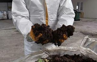 Ordu’da organik solucan gübresi atağı