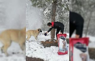 Osmaneli Belediyesi karlı havada sokak hayvanlarını...
