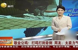 Öterken bayılan Denizli horozunun ünü Japon basınında