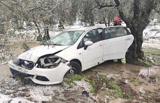 Otomobil zeytinliğe uçtu, itfaiyeci yaşlı kadını...