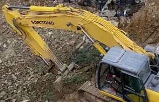 (Özel)- 70 yıllık ağacı kesip, toprağın altına...