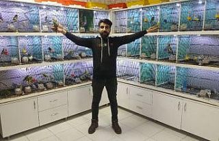 (Özel) Dengbej türküleri ile kuşları motive ediyor