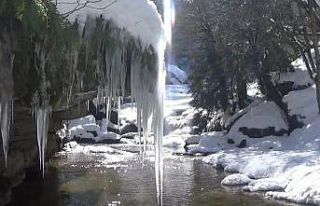 (Özel) Doğa harikası şelale buz tuttu, görenler...