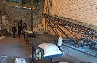 (Özel Haber) Malatya Şeker Fabrikası sezonu rekorla...