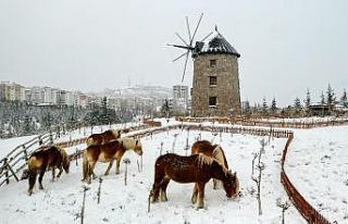 (Özel) İzmir’de faytonların kaldırılması ile...