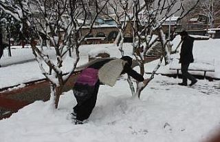 (Özel) Karda aç kalan hayvanlara dikkat çekmek...