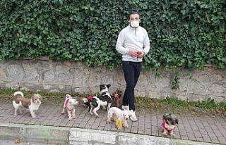 (Özel) Köpeklerin efendisi