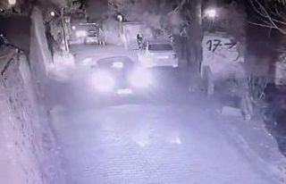(Özel) Yavru köpeğin otomobilin altında kaldığı...