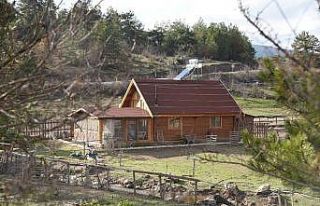 Pandemi döneminde ahşap evlere ilgi arttı