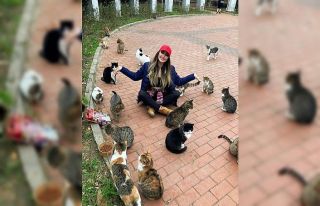 Pandemide sokak hayvanlarına büyük destek