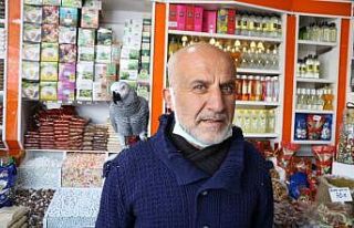 Papağan Paşa, 500 kelime konuşuyor ve dua okuyor