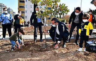 Parkın fidanlarını vatandaşlar dikti