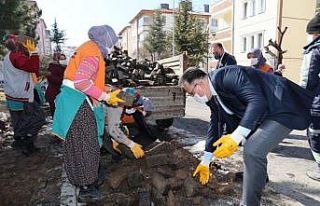 Parklardaki bakım ve yenileme çalışmaları devam...