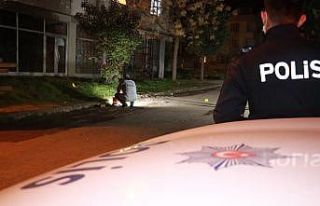 Parkta tartıştığı husumetlisi tarafından silahla...