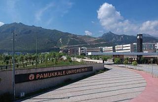 PAÜ’lü akademisyenler Türkiye sıralamasında...