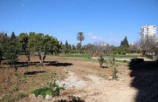 Portakal ağaçlarını kesip çim ektiler, uydu fotoğraflarıyla...