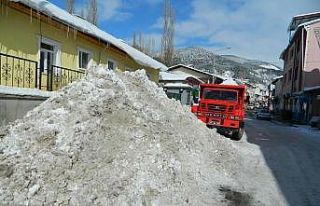 Posof’ta kar hayatı olumsuz etkiliyor
