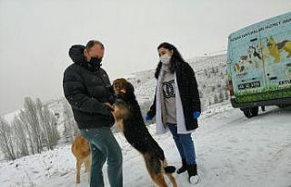 Pursaklar Belediyesi soğuk kış günlerinde can...