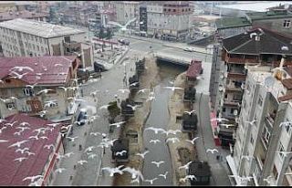 Rize’de drone denetimi başladı