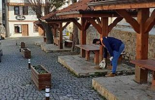 Safranbolu sokak hayvanları unutulmuyor