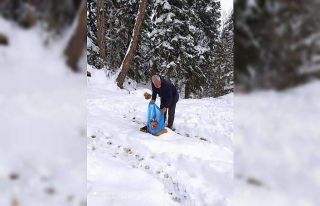 Safranbolu’da yaban hayvanları unutulmadı