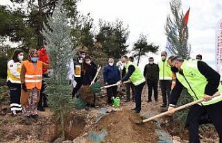 Sağlık kahramanları ormanı