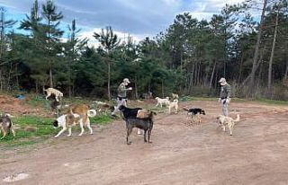 Sakarya polisi şehrin dört bir yanında