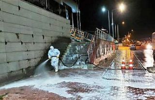 Salgın mücadelesi sürüyor