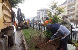 Samsun-Sinop yolunda refüj düzenleme çalışması