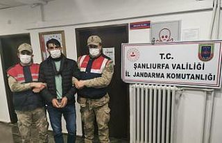 Şanlıurfa’da 15 yıldır aranan cinayet hükümlüsü...