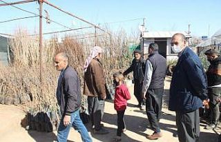 Şanlıurfa’da fidan satışları yeni yılda iki...