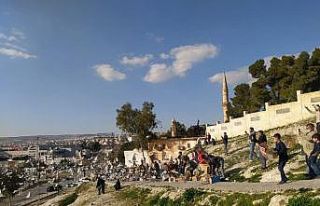 Şanlıurfa’da "güvercin döküşü"