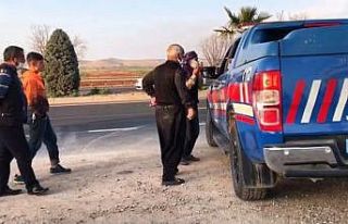 Şanlıurfa’da kan donduran olay