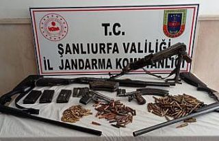 Şanlıurfa’da silah kaçakçılığı operasyonu