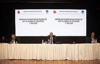 Seçer: “Saldırıların arkasındaki suç odakları...