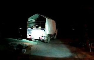 Şehit annesi çalınan kuzu ve koyunlarına kavuştu