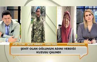 Şehit oğlunun ismini verdiği kuzu çalındı