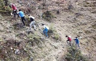 Şehitlerin anısına ilçenin en yüksek tepesine...