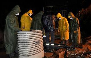 Selden etkilenen elektrik hatlarına anında müdahale