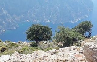 Semra Aysal’ın Kelebekler Vadisi’ndeki son görüntüleri...