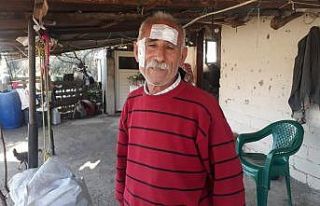 Seralarını kontrol ederken maganda kurşunuyla başından...