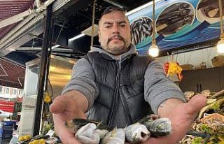 Sezona 40 lirayla başlayan çinekop 75 lirayı gördü