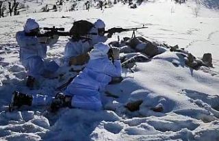 Siirt’te ’Eren-6 Mergelo’ operasyonu başlatıldı