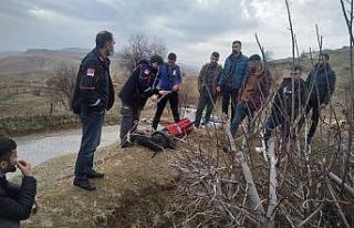 Siirt’te kör kuyuya düşen keçiyi AFAD ekipleri...